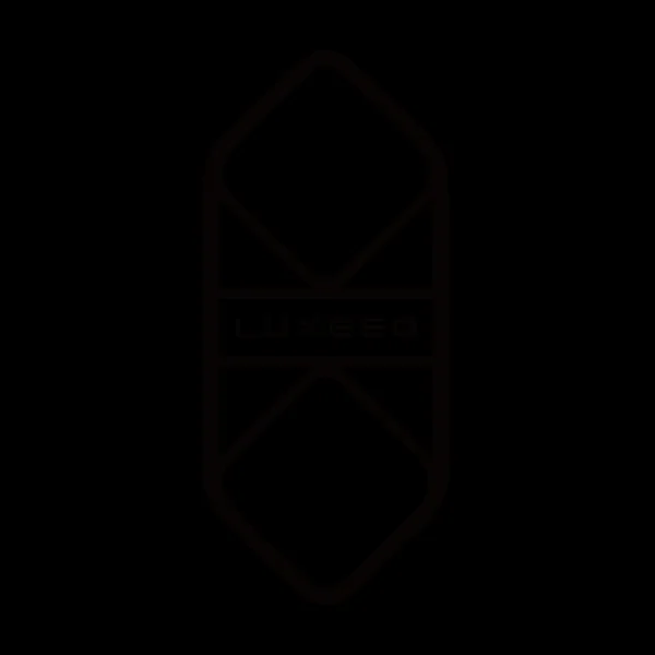 智界车标（第 2 张）