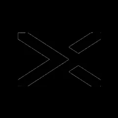 NamX车标