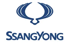 双龙车标