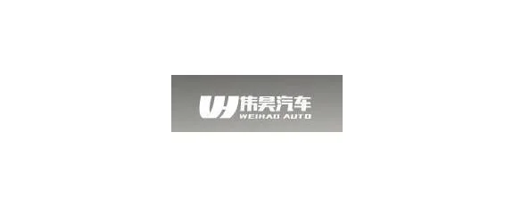 伟昊车标
